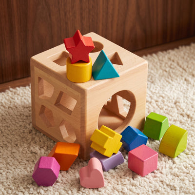 True Haven | Cubby Wooden Shape Sorter – Screen-Free Developmental Toy, Safe for Little Hands