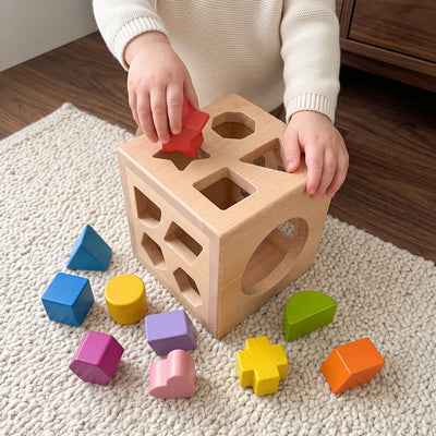 True Haven | Cubby Wooden Shape Sorter – Screen-Free Developmental Toy, Safe for Little Hands