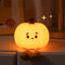 True Haven | Pumpkin-Shaped LED Night Light – Touch-Control Brightness Levels, Rechargeable & Portable