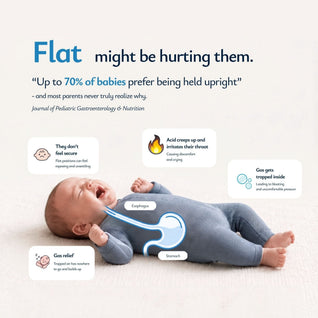 True Haven | Baby Head Support Lounger – Contoured Flat Head Prevention Cradle, Machine Washable